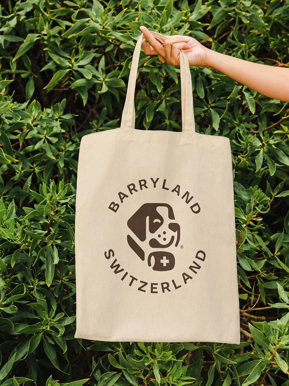 Barryland